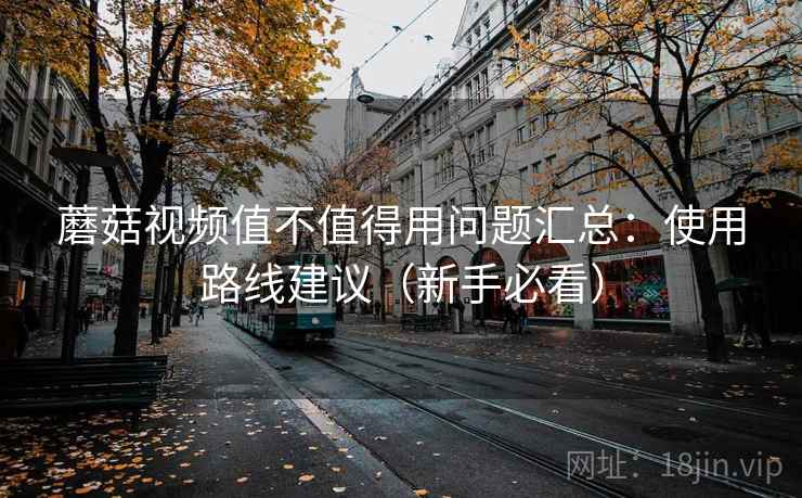 蘑菇视频值不值得用问题汇总：使用路线建议（新手必看）