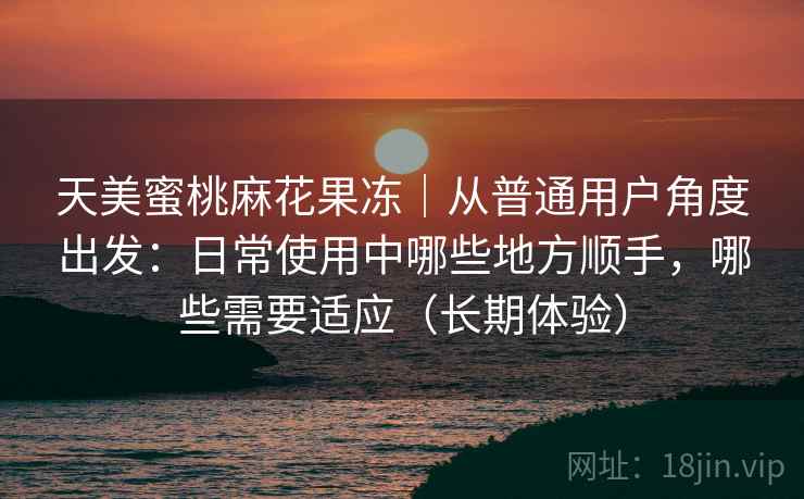 天美蜜桃麻花果冻｜从普通用户角度出发：日常使用中哪些地方顺手，哪些需要适应（长期体验）