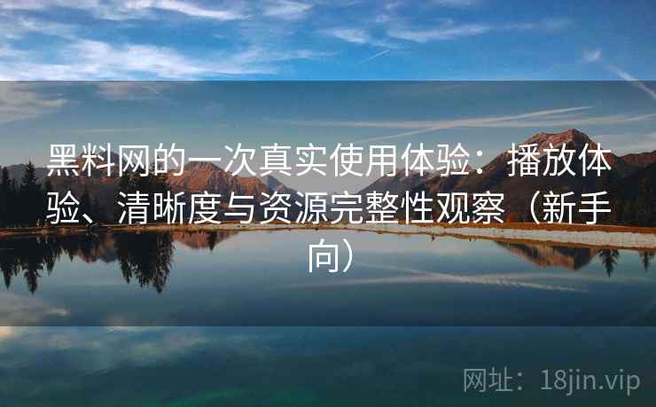 黑料网的一次真实使用体验：播放体验、清晰度与资源完整性观察（新手向）