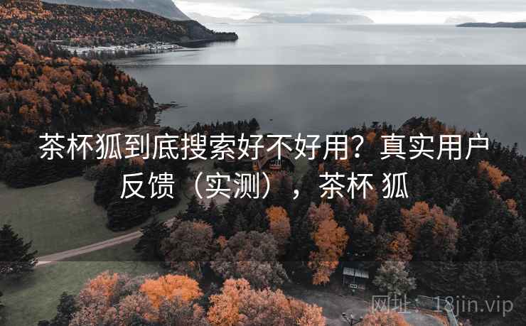 茶杯狐到底搜索好不好用？真实用户反馈（实测），茶杯 狐