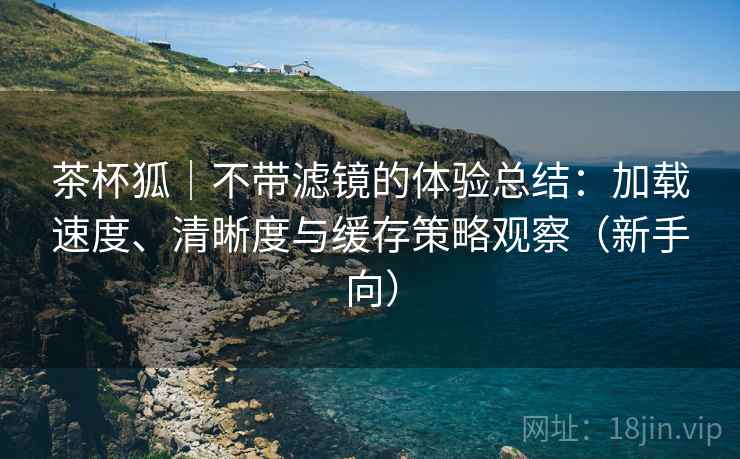 茶杯狐｜不带滤镜的体验总结：加载速度、清晰度与缓存策略观察（新手向）