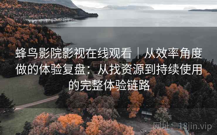 蜂鸟影院影视在线观看｜从效率角度做的体验复盘：从找资源到持续使用的完整体验链路